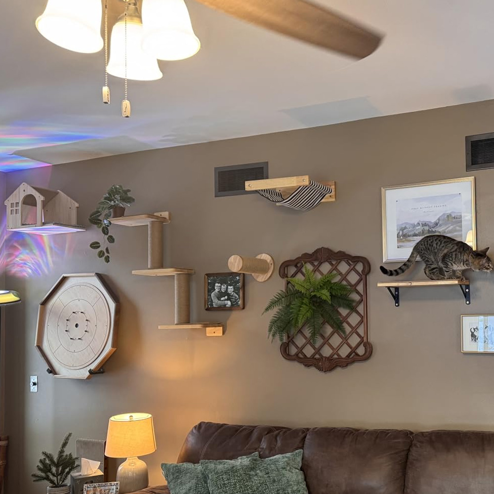 Furniture Paradise & Hardware Ghaziabad Photos - Kattenmeubels Massief Houten Hangbrug Wandmontage Sisal