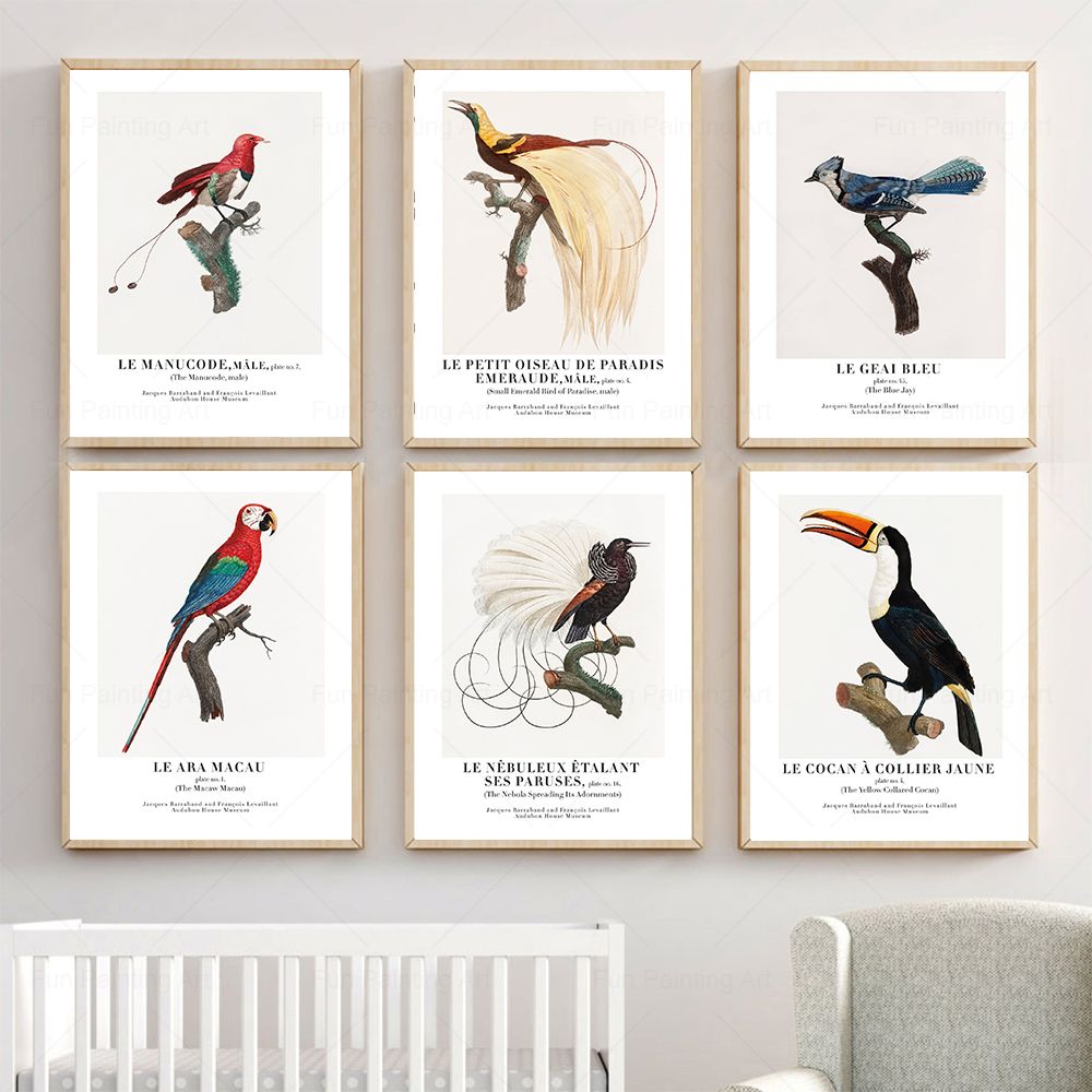 Vintage Paradise Bird Wall Art - Furniture Paradise & Hardware Ghaziabad Photos recensie en prijs