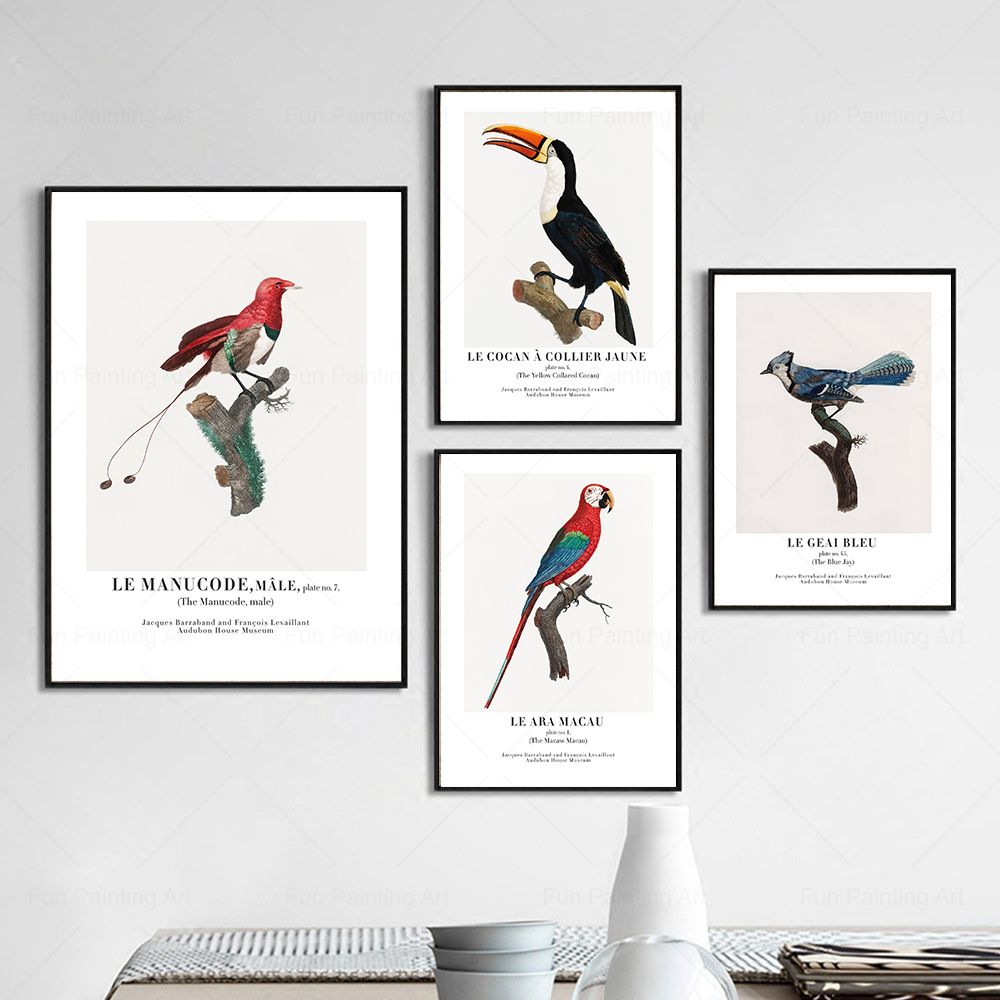 Vintage Paradise Bird Wall Art - Furniture Paradise & Hardware Ghaziabad Photos recensie en prijs