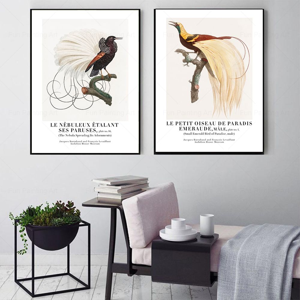 Vintage Paradise Bird Wall Art - Furniture Paradise & Hardware Ghaziabad Photos recensie en prijs