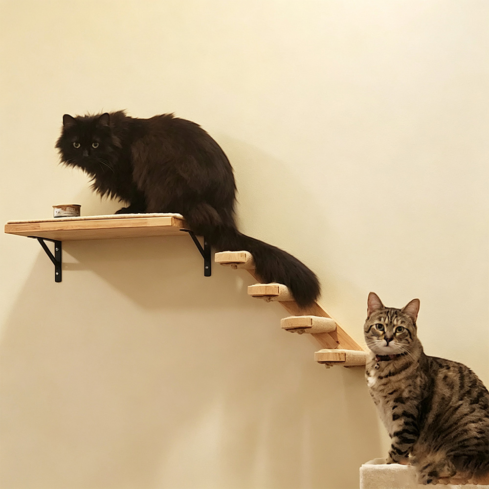 Kattenmeubels Massief Houten H - Furniture Paradise & Hardware Ghaziabad Photos recensie en prijs