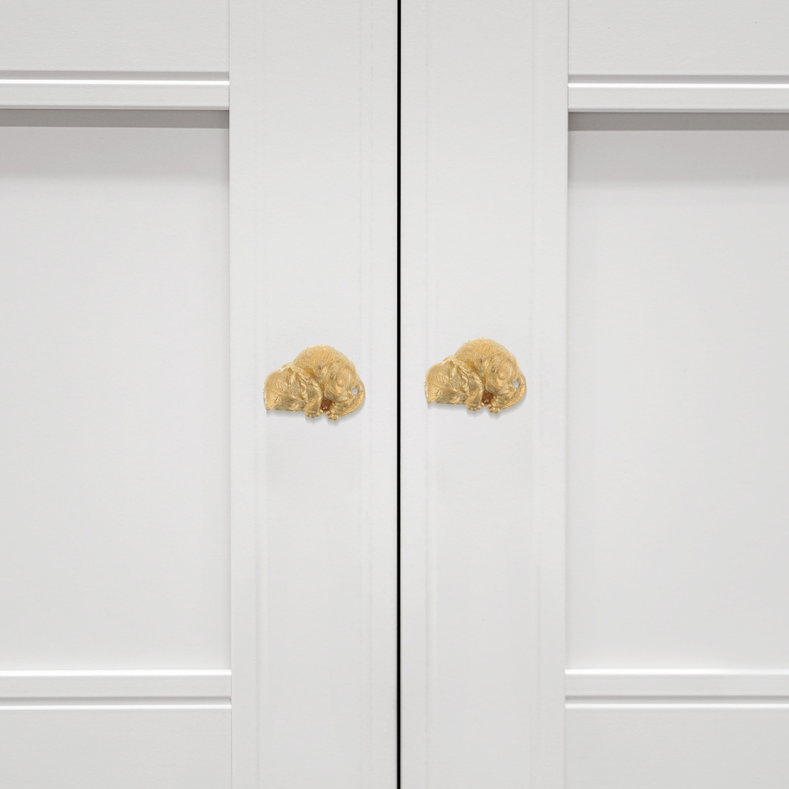 Uniek messing deurgreep ontwer - Unique Furniture Hardware Pulls recensie en prijs
